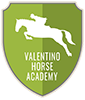valentino.horse.scud.h100