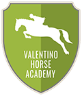 valentino.horse.scud.h140